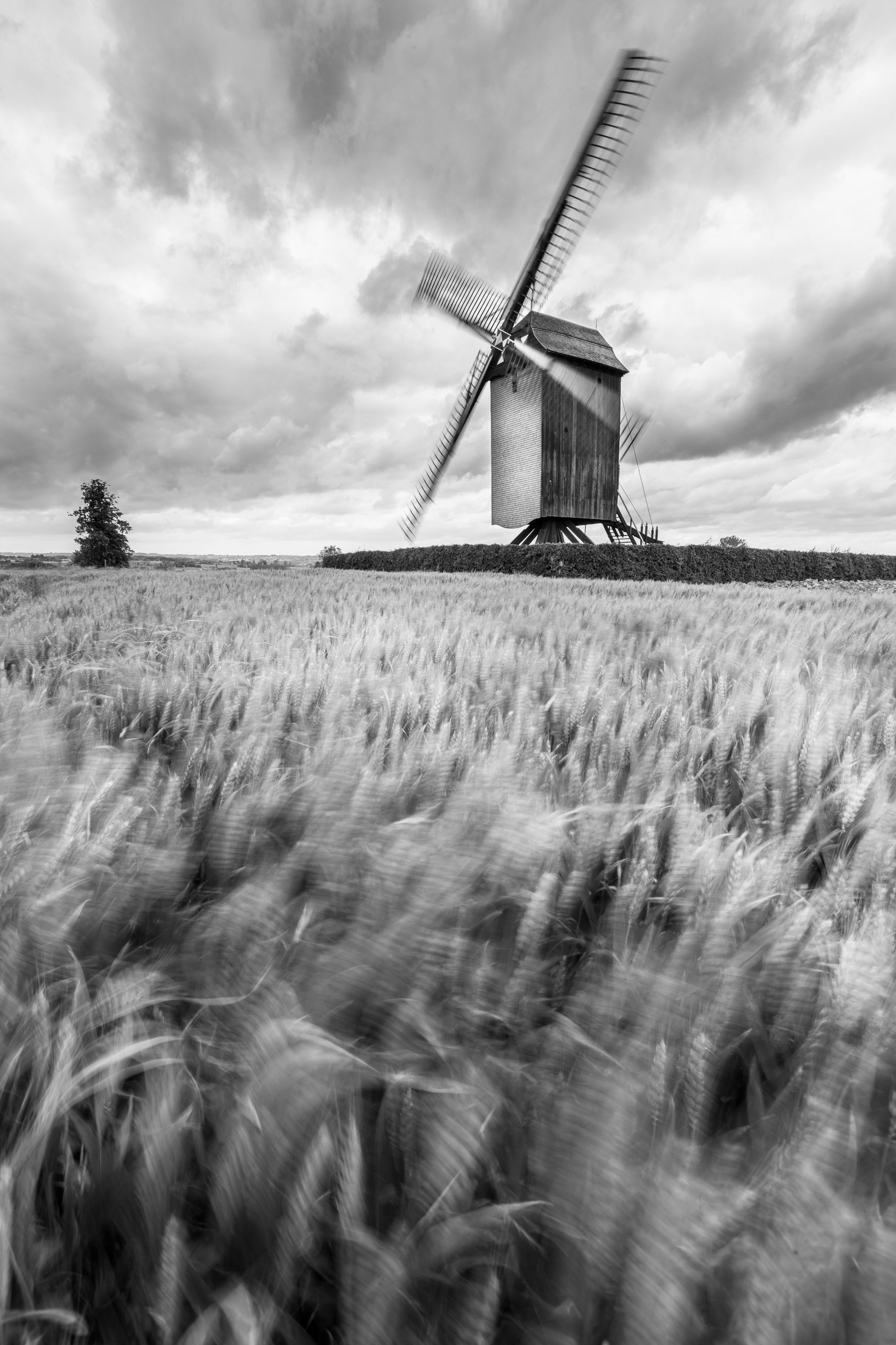 Mill in a field of wheat