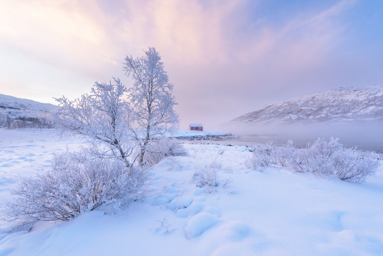 Rode hut in sneeuwlandschap